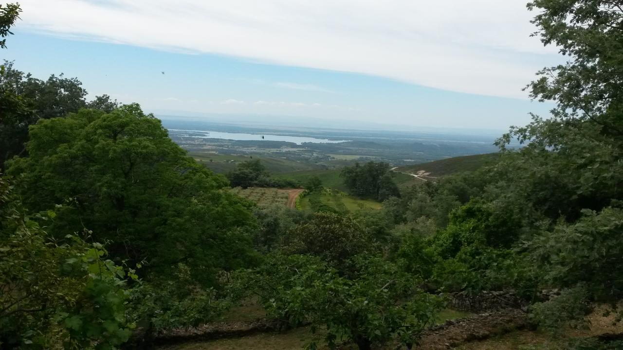 Abejas 1 De El Vergel De Chilla Candeleda Buitenkant foto